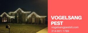 Brick house with Christmas lights at night by Vogelsang Pest Management in O’Fallon, MO