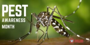 Mosquito with Pest Awareness Month in O’Fallon, MO