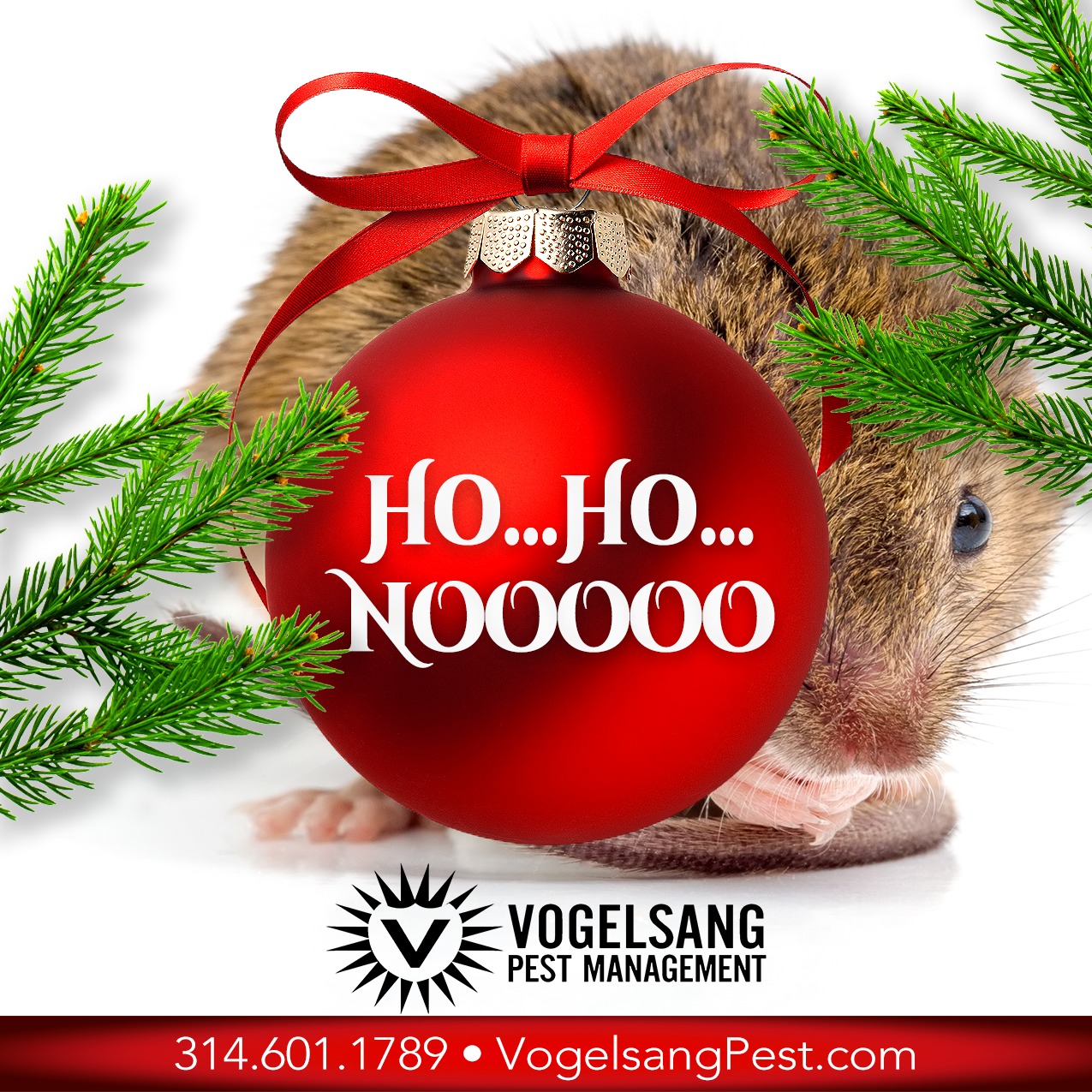 Is pest control worth it in the winter? Vogelsang Pest Management