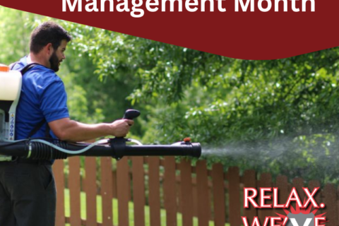 National Pest Management Month