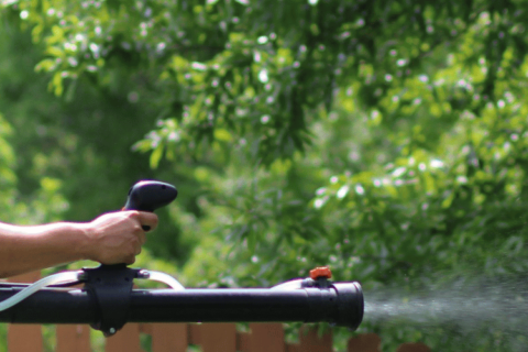 Mosquito-Free Summer Tips to Keep Your Yard Bite-Free